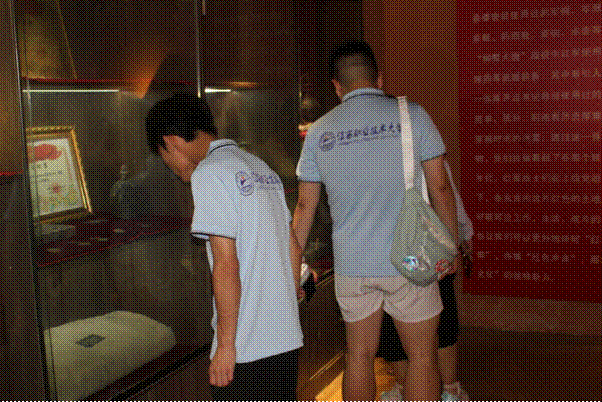 IMG_256 IMG_256